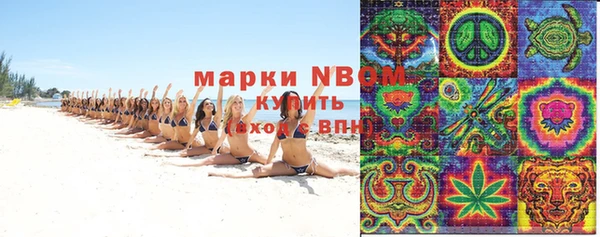 стаф Бородино