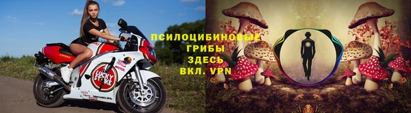прущая мука Богородск
