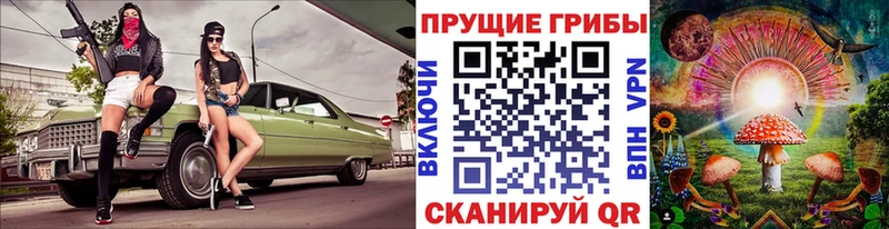 omg вход  Волосово  Галлюциногенные грибы MAGIC MUSHROOMS 