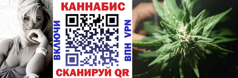 Канабис сатива  ссылка на мегу зеркало  Волосово  закладки 